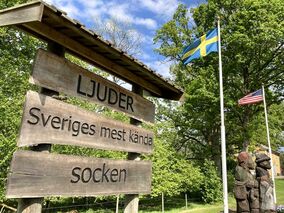 Swedish-American emigrants, Sweden, Moberg, Europe